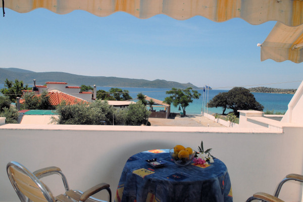 View from a studio balcony