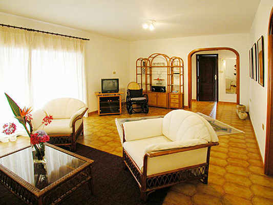 The spacious living room