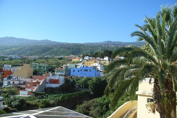 View from the hotel's roof terrace