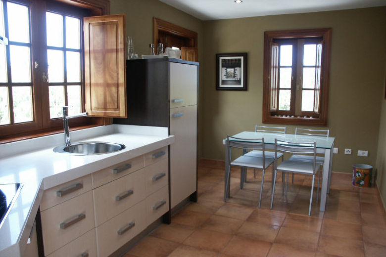Open-plan kitchen-dining area in the studio