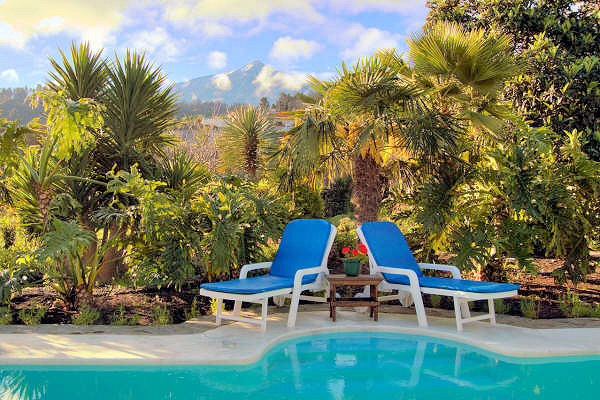View up towards Mount Teide from the pool