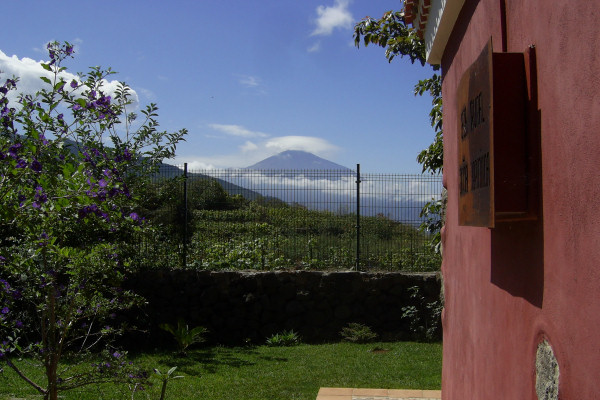 Views towards Mount Teide