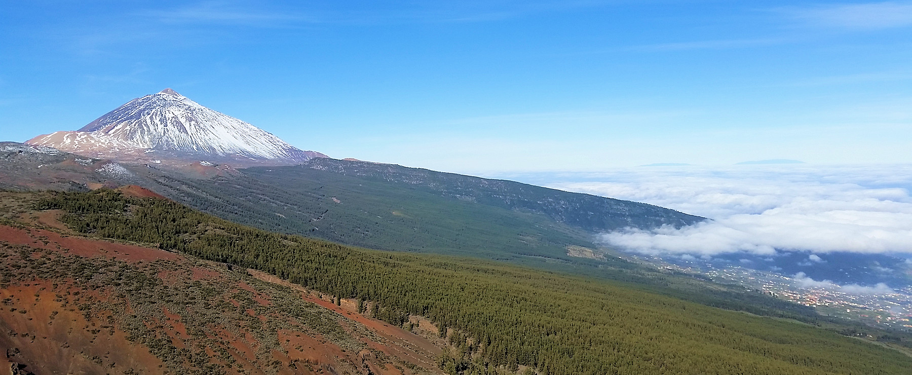 The Canary Islands