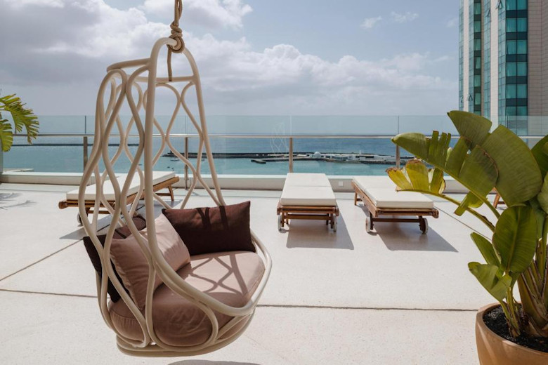 The roof terrace