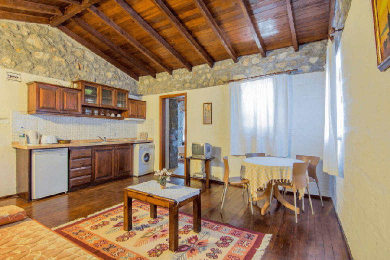 Open-plan kitchen in an apartment