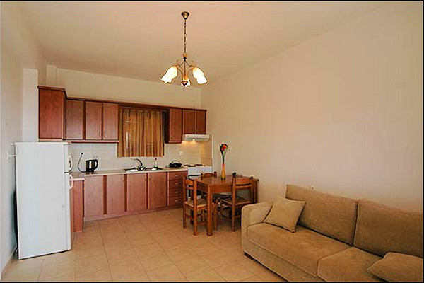 Kitchen/living area in one of the new apartments