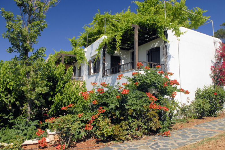 The accommodation nestles amidst mature vegetation