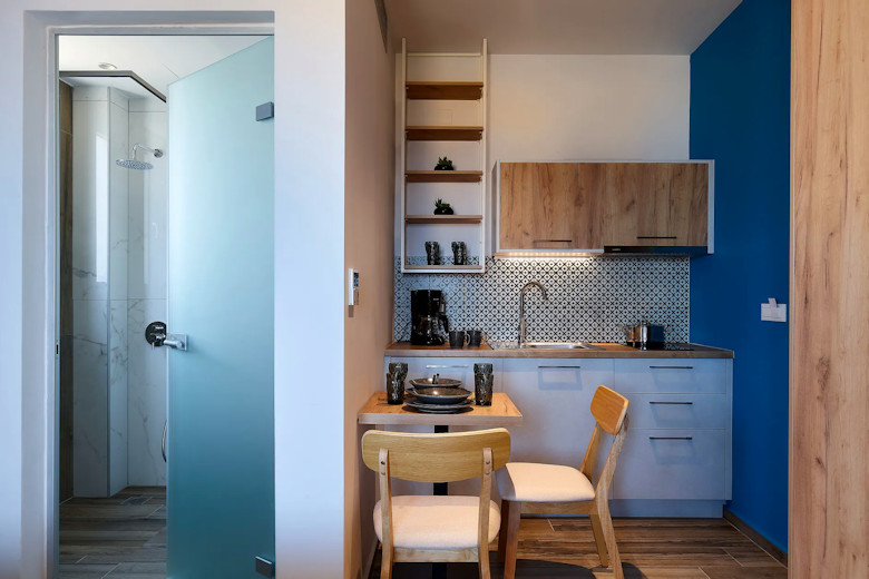 Kitchenette area and shower room in a Studio