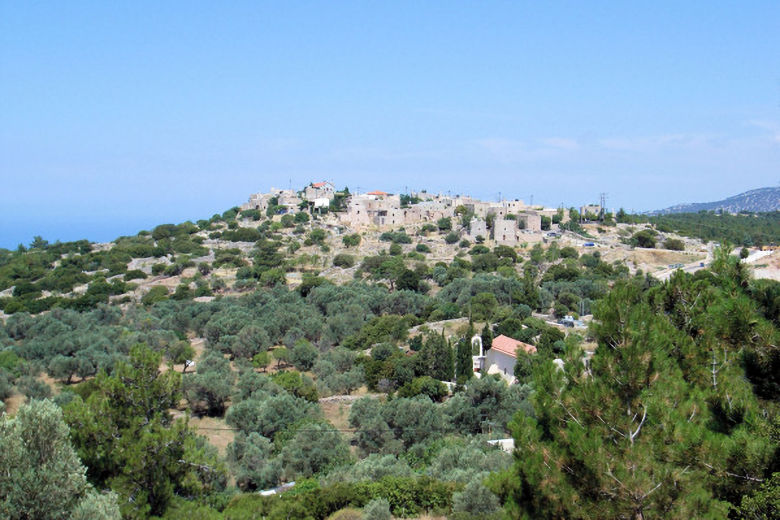 Avgonima