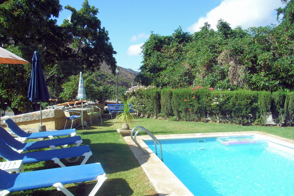 The lovely garden surrounding the swimming pool