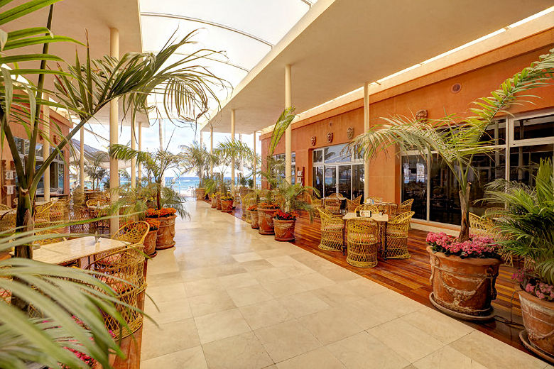The terrace bar, La Marina