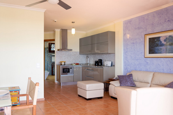 Typical living area and open-plan kitchen