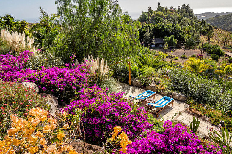 The flower-filled grounds