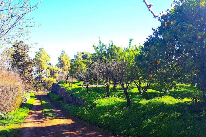 Casa El Alpendre is part of a large fruit farm