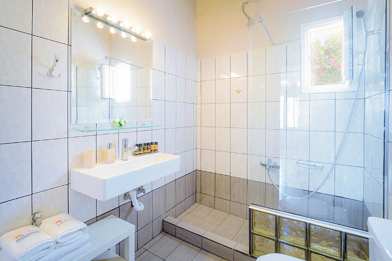 Shower room in the Blue House