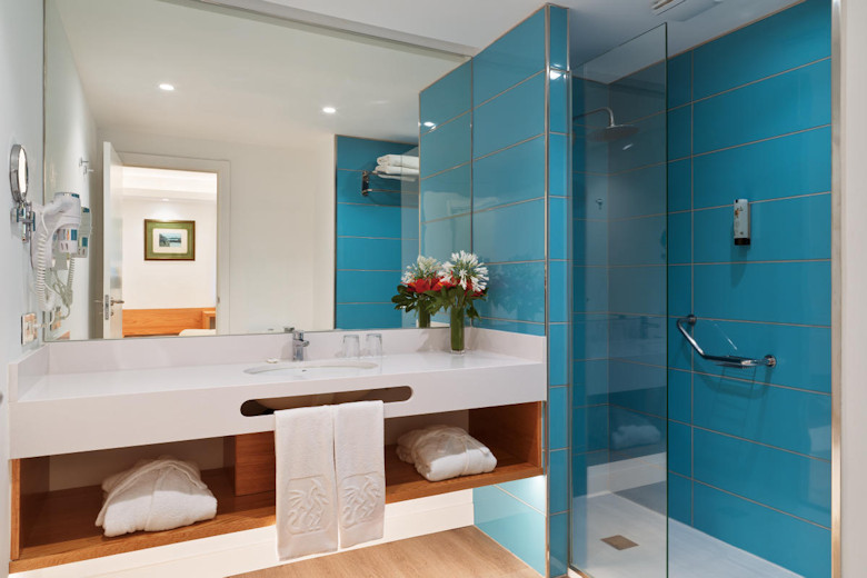 Shower room in a Premium Apartment