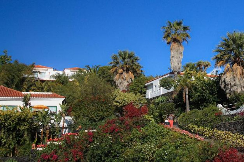 Accommodation set amidst lush vegetation