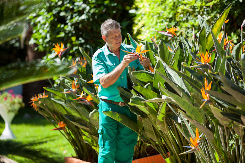 Lovingly tended gardens