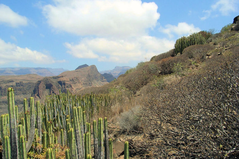 View from Mundo Aboriginal across Fataga valley