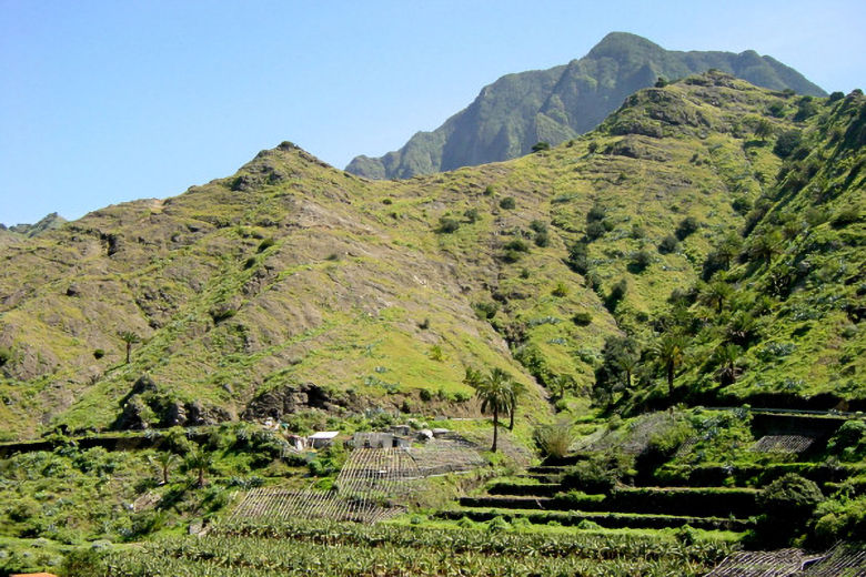 Lush agricultural terraces