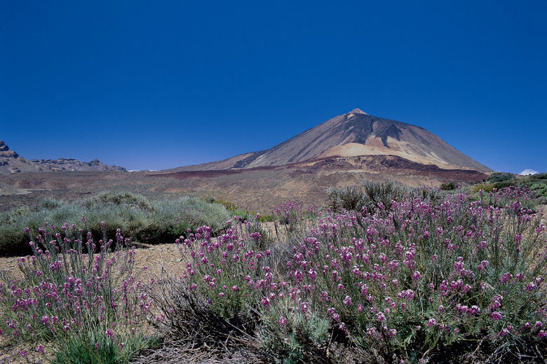 Tenerife