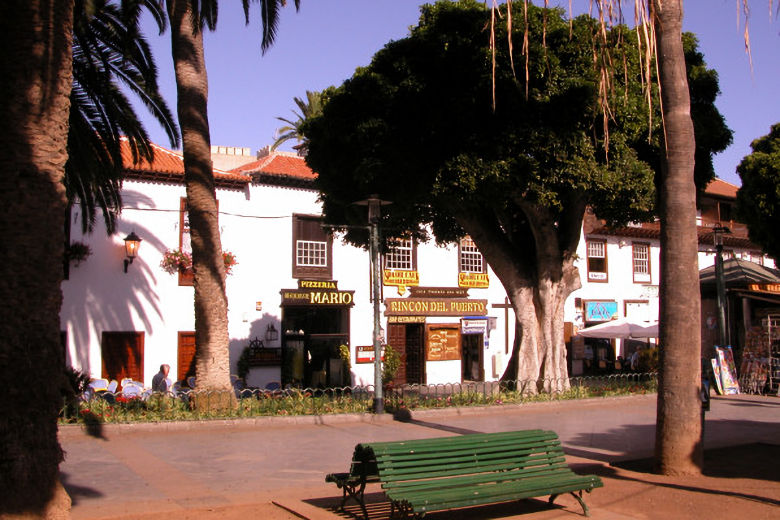Plaza del Charco in Puerto de la Cruz