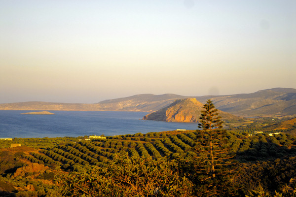 East coast near Palekastro