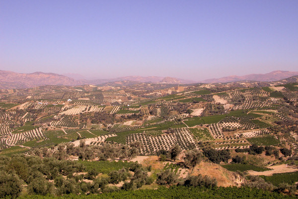 Rural countryside around Pendamodi