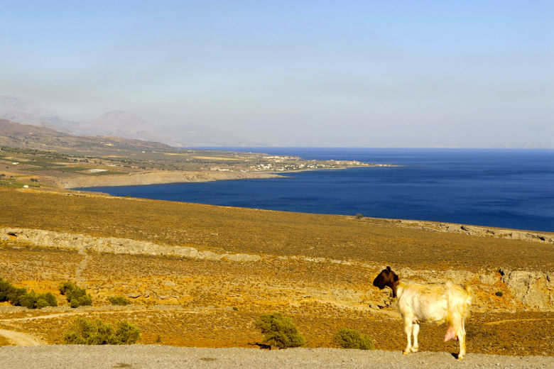 Coast near Frangokastello