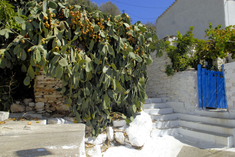 The backstreets of Fourni Village