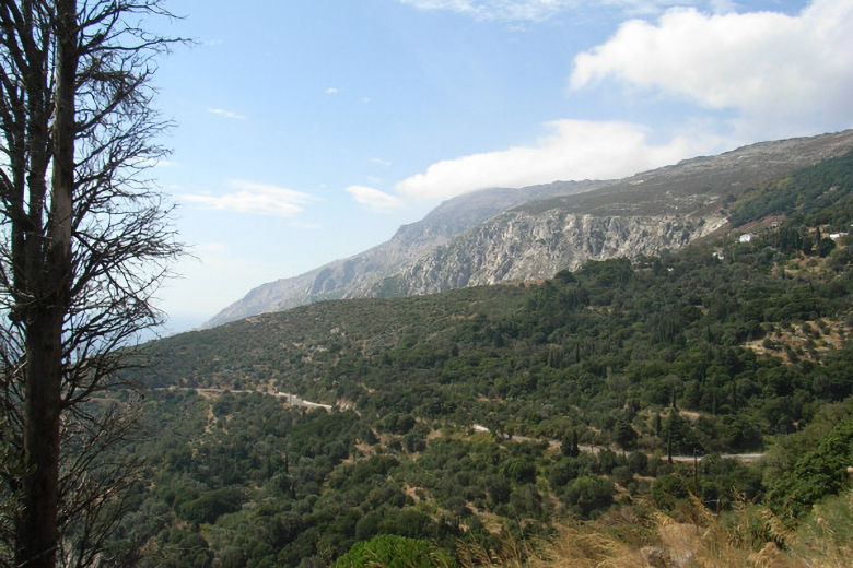 Densely forested mountain scenery