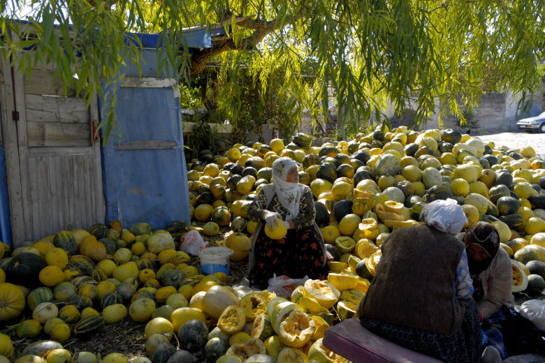 Local pumpkin seed production