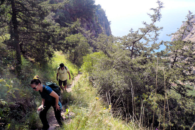 Foraging for wild herbs in the hills around Mandarin