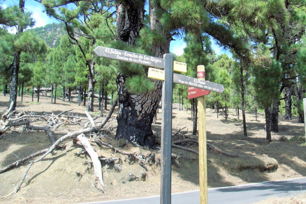 Signposted paths for walkers