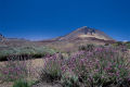 Mount Teide is Spain's tallest mountain