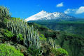 Mount Teide in winter