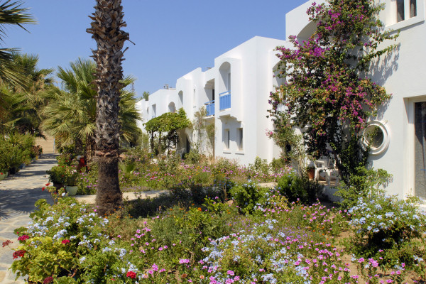 Low-rise accommodation in flower-filled gardens