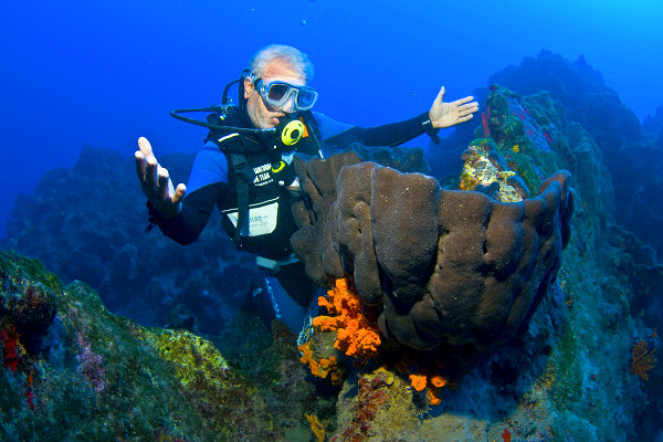 The Deep-Blue Cruise - Diving with Captain Aksona