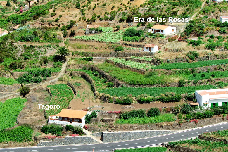 Casas Tagora and Era de las Rosas