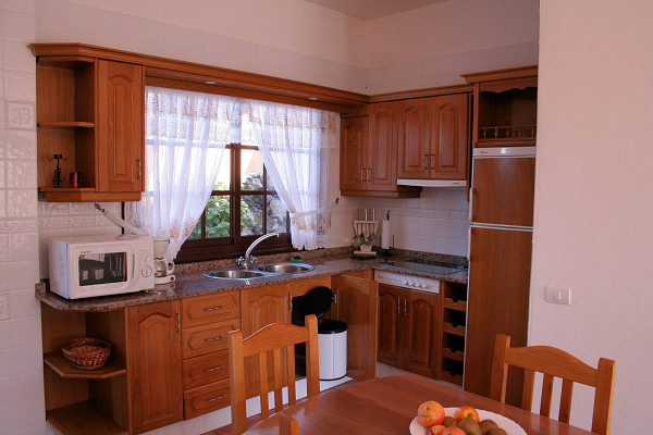 Open-plan kitchen in a ground-floor apartment