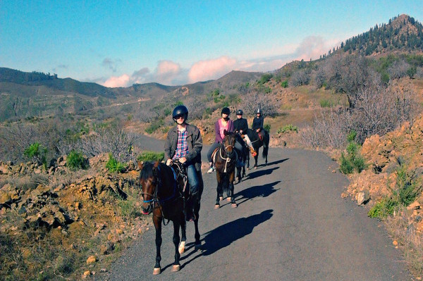 The hotel offers horse-riding excursions