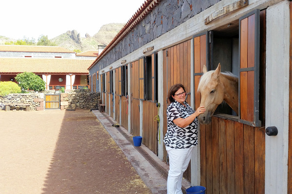 The hotel's stables