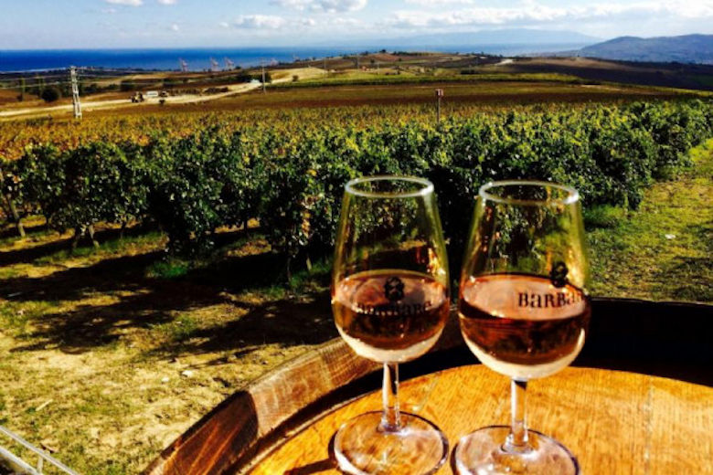 The Vineyards of Thrace